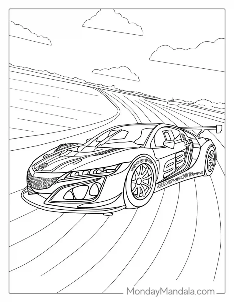 AUTO DE CARRERA