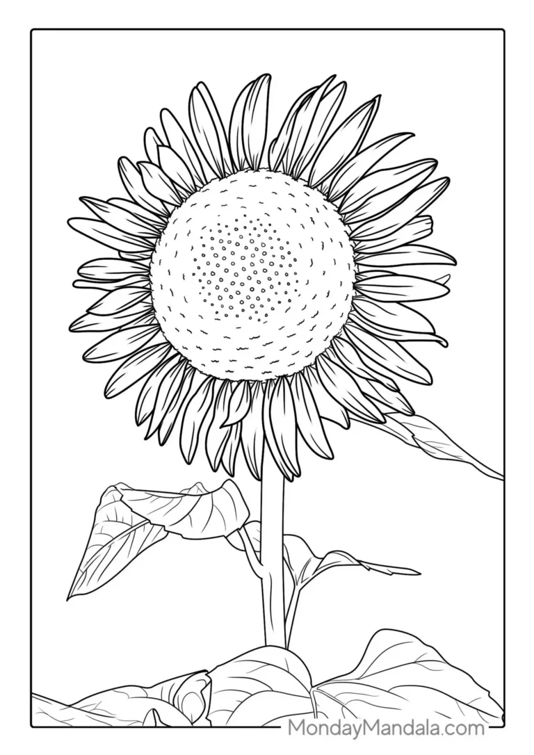 GIRASOL