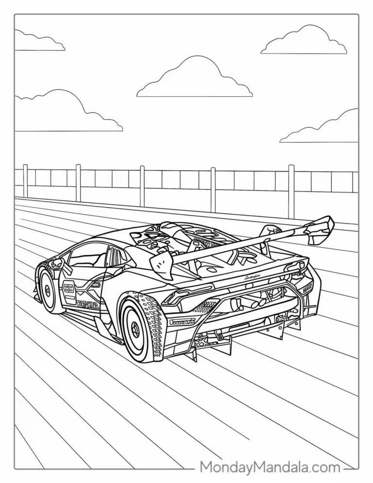 AUTO DE CARRERAS