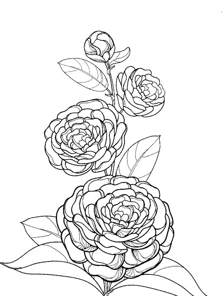 FLORES 2