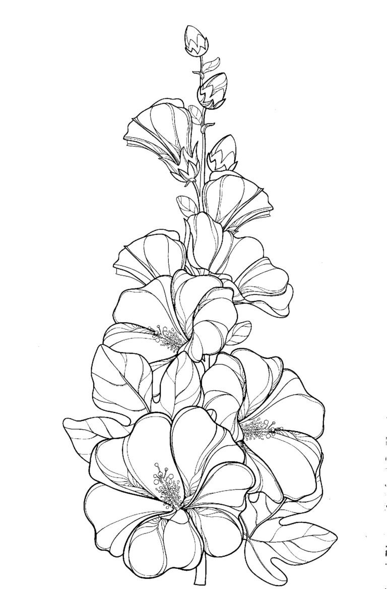 FLORES 1