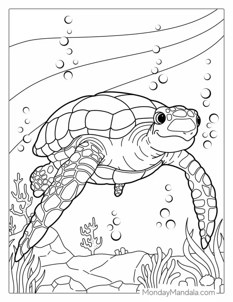 TORTUGA ACUATICA