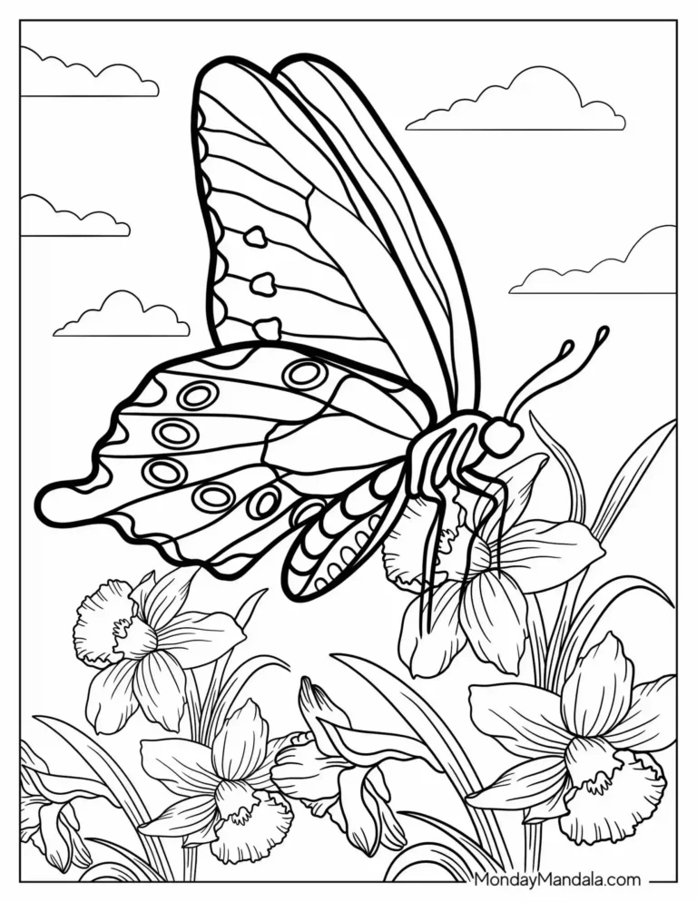 MARIPOSA SOBRE UNA FLOR