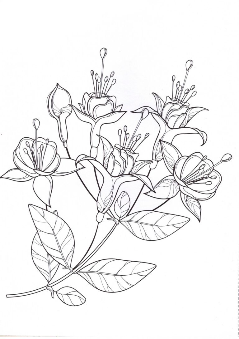 Flores 4