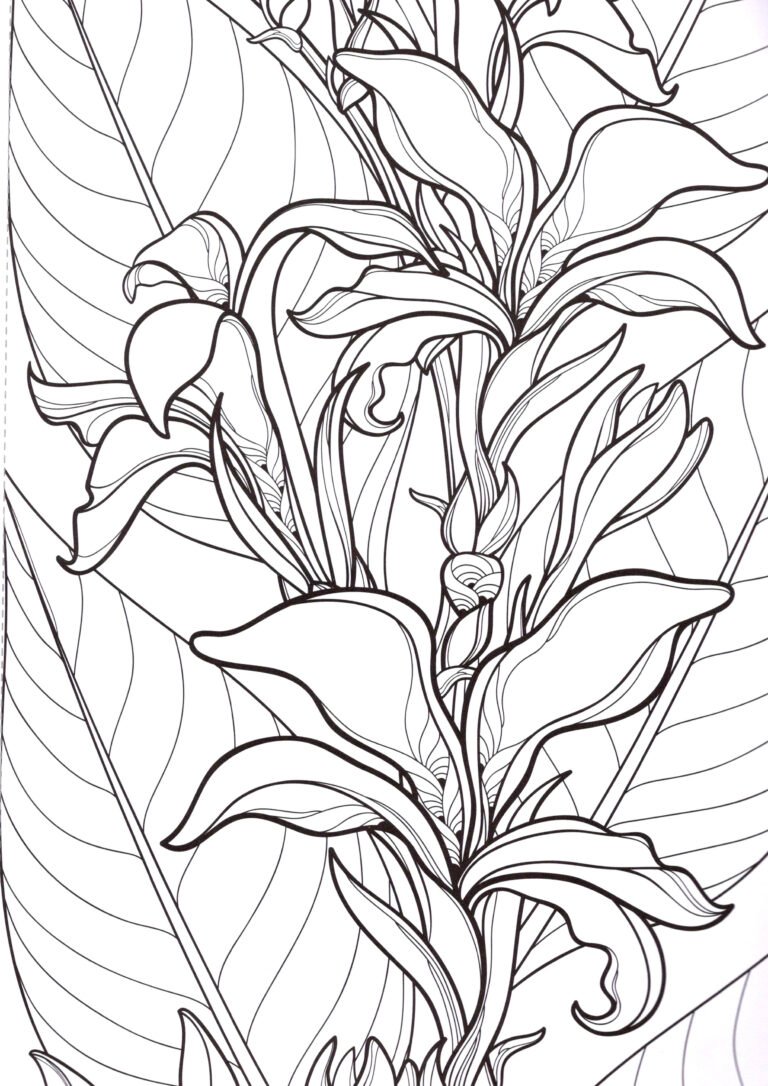 Flores 5
