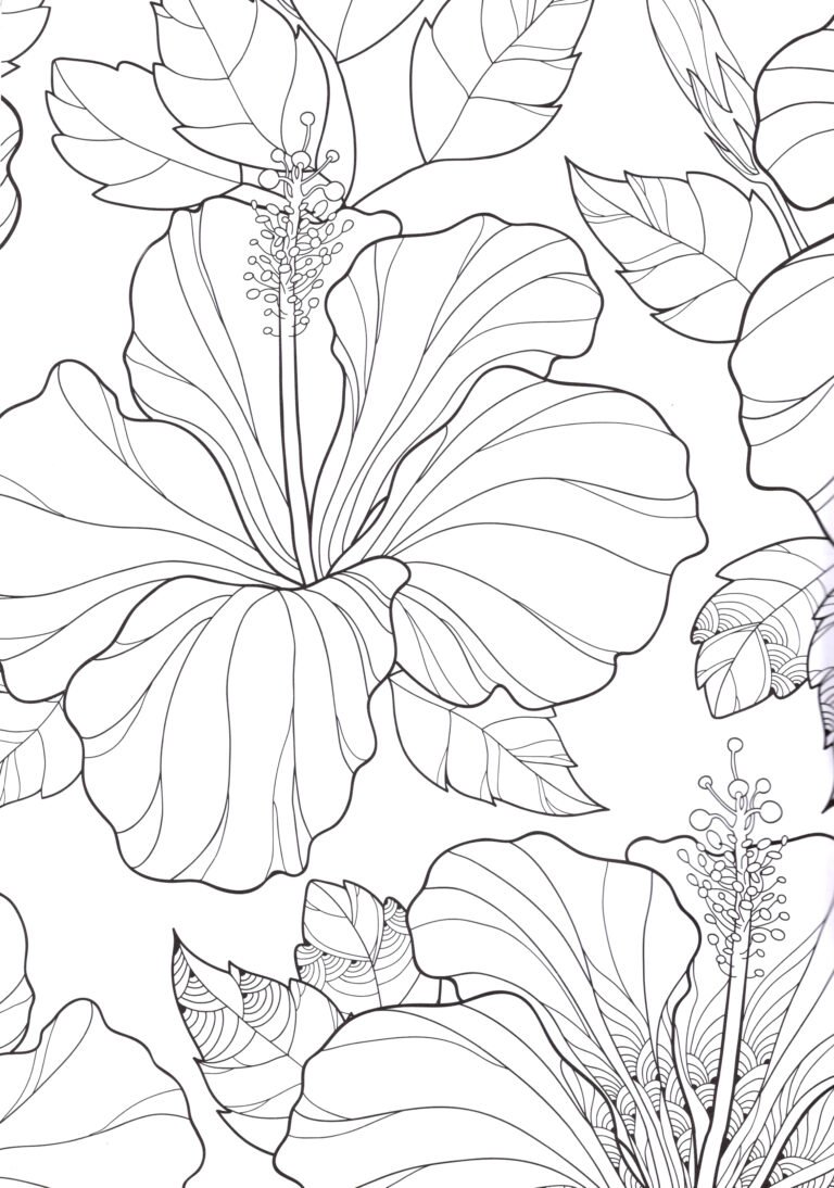 TULIPANES